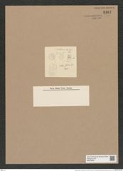 Melosira solida var. haitiensis Grun. (de-Toni-Nr.: Genus 213, Species 5309) Zeichnungen Sammlung Grunow Nr. 9167 (NHMW-BOT-W0378944)
